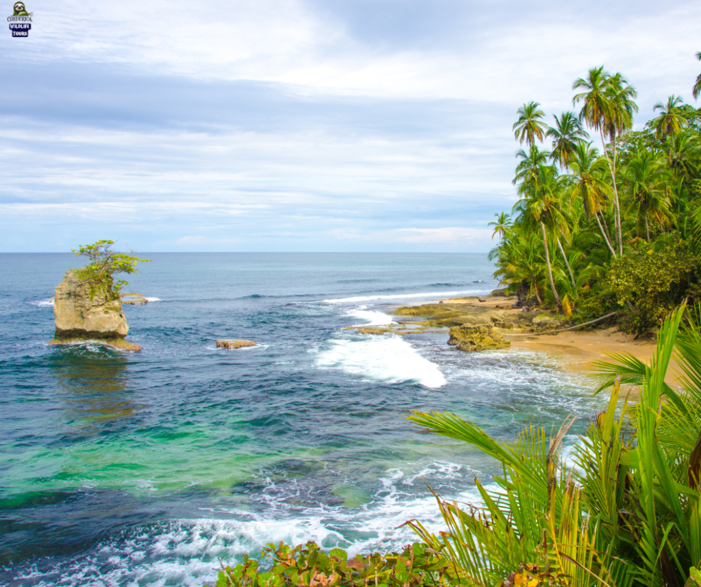 South Caribbean