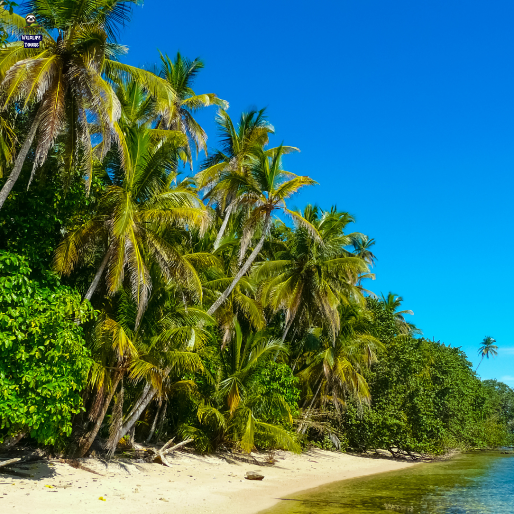 South Caribbean