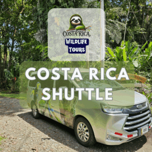 Experience Wildlife Tours in Costa Rica — Door-to-Door Comfort!