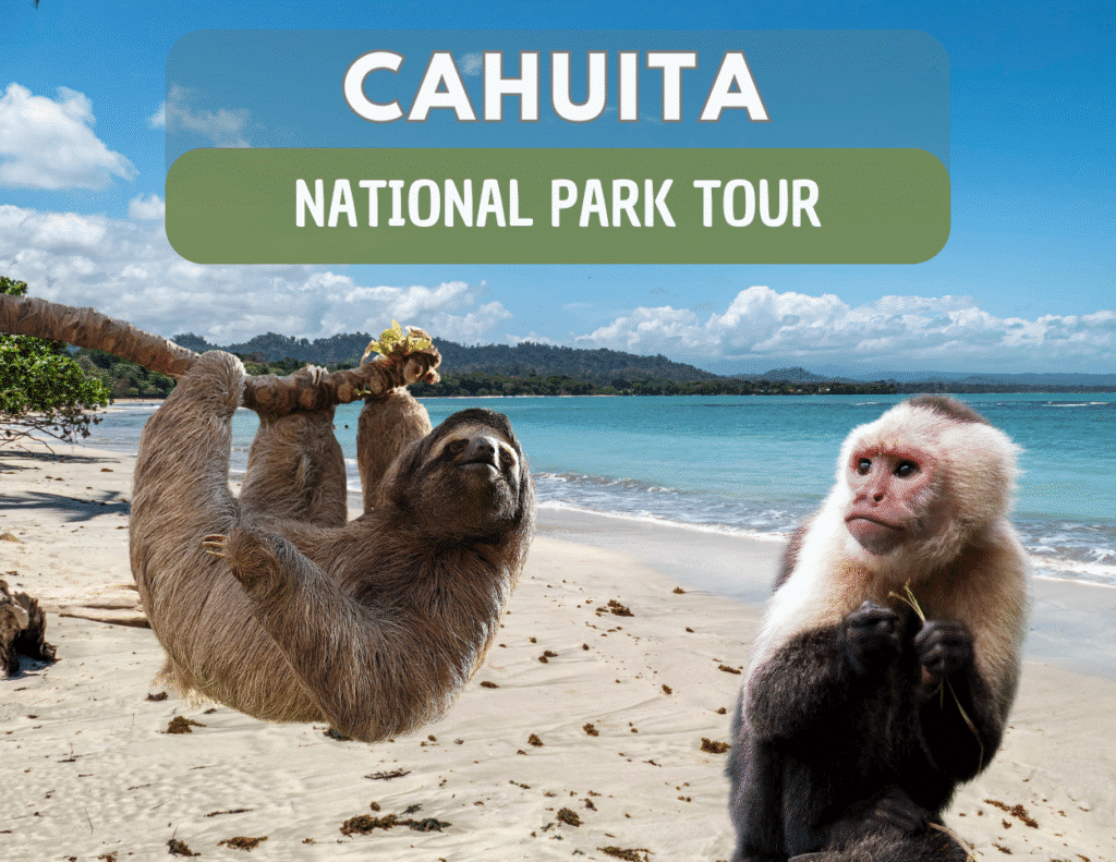 Cahuita National Park Tour promotional image