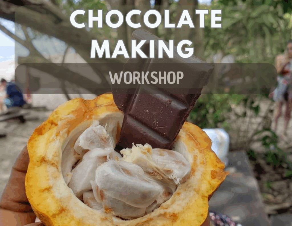 hands on chocolate making workshow