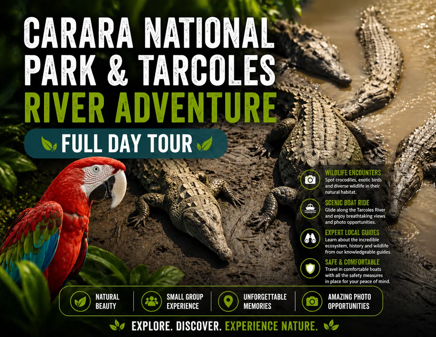 Wildlife tours in Costa Rica Carara and Tarcoles
