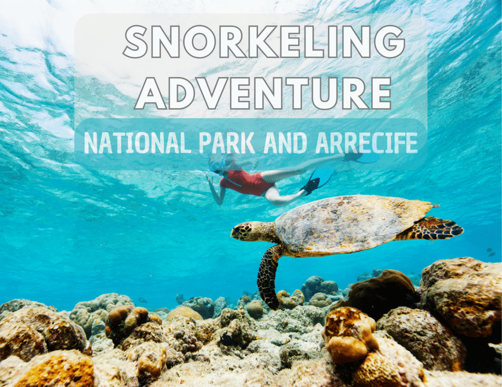 Cahuita Snorkeling Tour