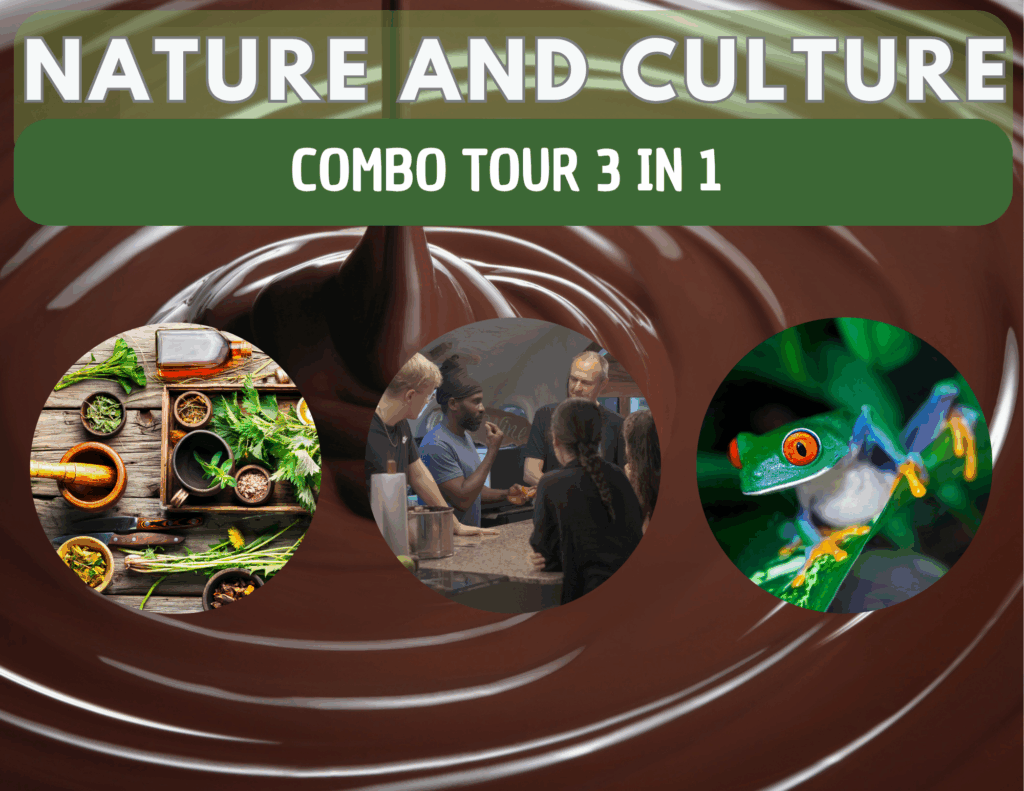 hands on chocolate making workshow, medicinal plants and nightwalk