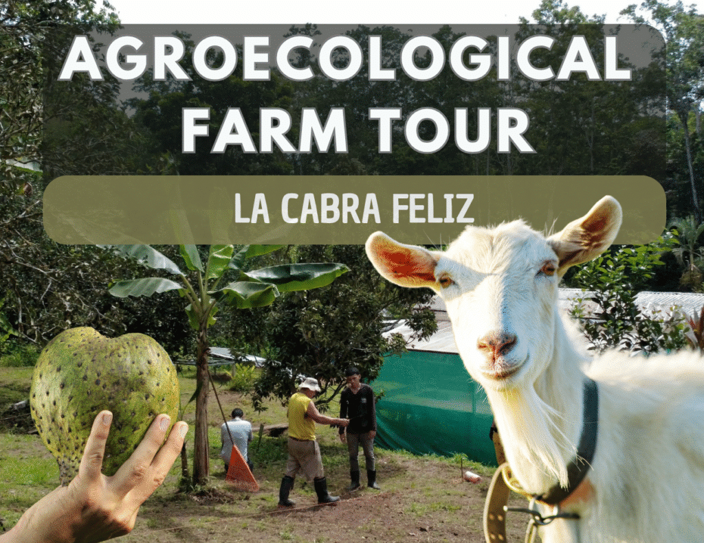 Agroecological Farm Tour Costa Rica