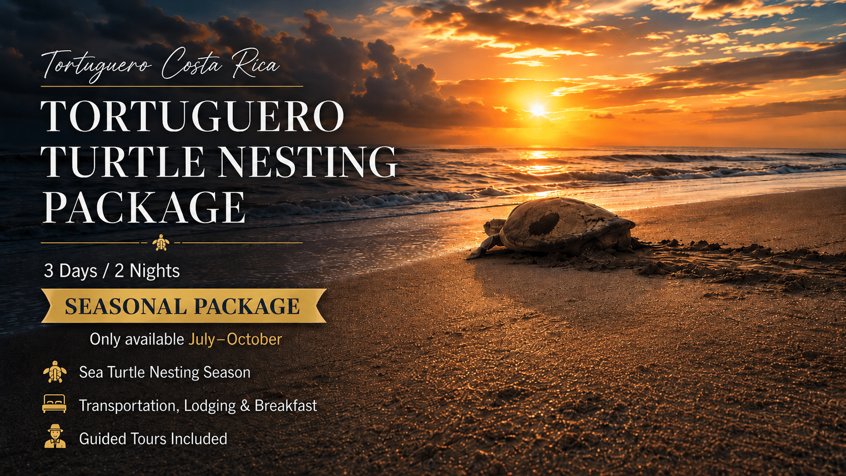 Tortuguero Turtle Nesting Package