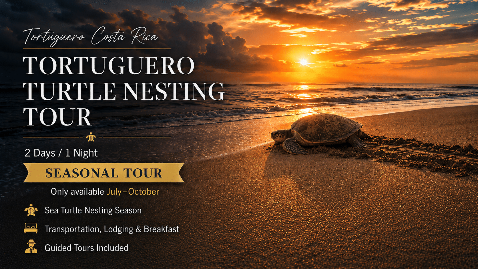 Tortuguero Turtle Nesting tour